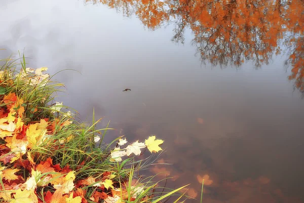 Пруд Осеннем Парке Пейзаже Воды Осеннем Лесу Отражения Осенних Деревьев — стоковое фото