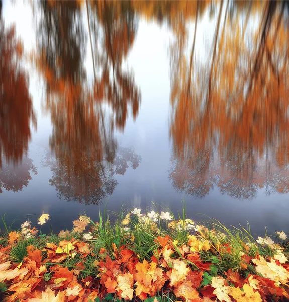 Herbst Wald Hintergrund Verschwommenes Bild Der Herbstlandschaft Wald Kiefernwald Vertikale — Stockfoto