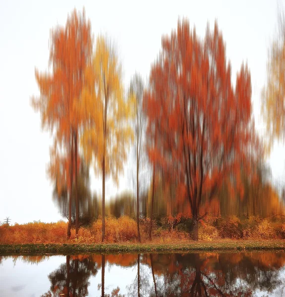 Fundo Outonal Quadrado Borrado Paisagem Outono Parque Fundo Bokeh Borrado — Fotografia de Stock