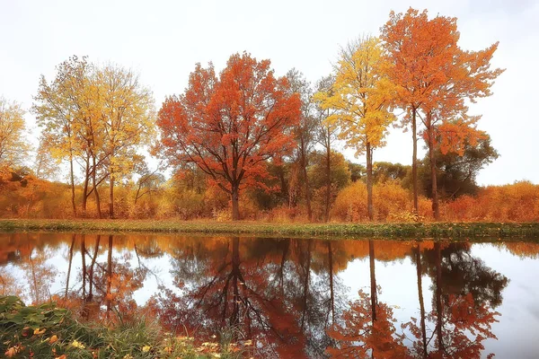 Paysage Automne Incroyable Avec Des Arbres Jaunes Lac Dans Parc — Photo