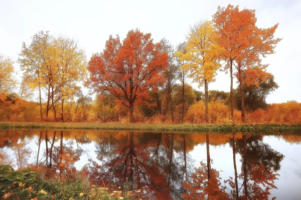 Paisagem Incrível Outono Com Árvores Amarelas Lago Parque — Fotografia de Stock