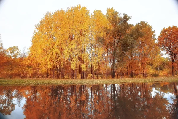 Increíble Paisaje Otoño Con Árboles Amarillos Lago Parque —  Fotos de Stock