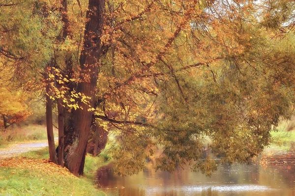 Gele Herfst Boslandschap Mooie Bomen Met Gele Bladeren Het Bos — Stockfoto