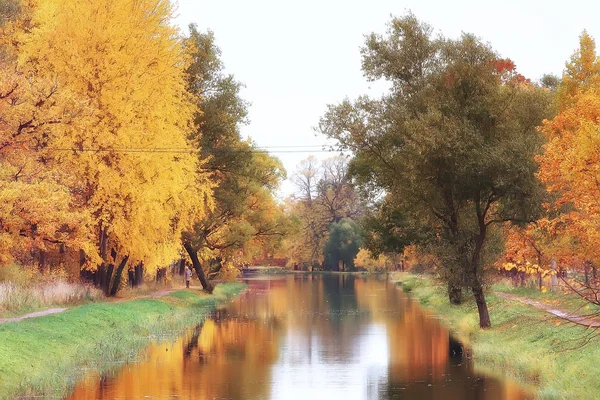 Outono Paisagem Árvores Amarelas Parque Outono Floresta Laranja Brilhante — Fotografia de Stock