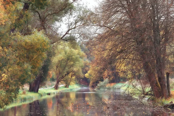 Sonbahar Manzara Sarı Sonbahar Park Parlak Turuncu Orman Ağaçları — Stok fotoğraf