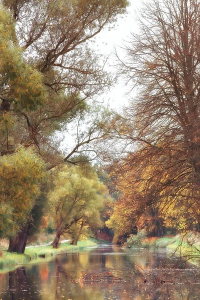 Amarillo Otoño Bosque Paisaje Hermosos Árboles Con Hojas Amarillas Bosque — Foto de Stock