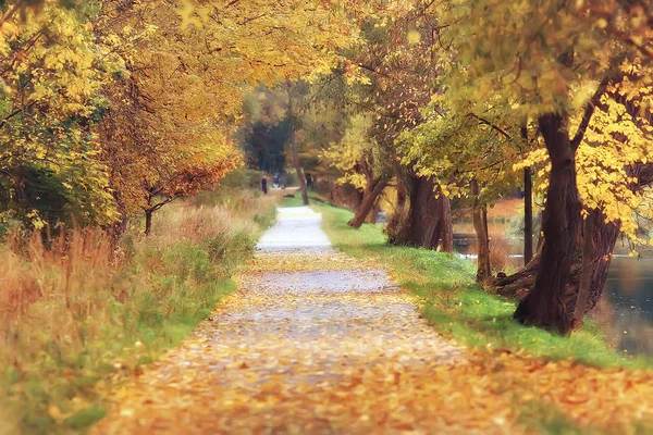 Octubre Paisaje Otoño Parque Árboles Amarillos Octubre Callejón Paisaje Otoño —  Fotos de Stock