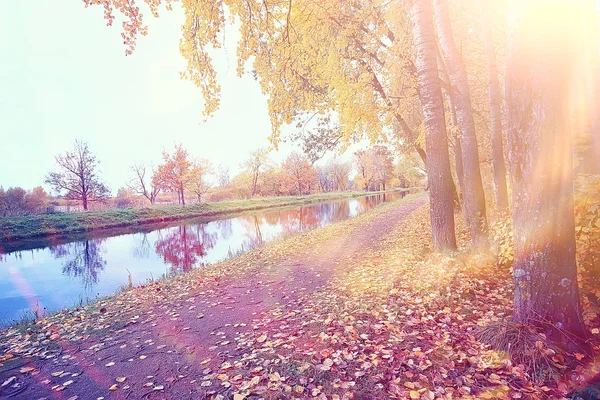 Herbst Sonnige Morgenlandschaft Sonnenstrahlen Herbstbäumen Hellorange Landschaft Blättern Und Zweigen — Stockfoto