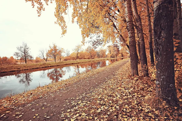 Gefallene Gelbe Blätter Hintergrund Verschwommener Gelber Herbsthintergrund Mit Blättern Auf — Stockfoto