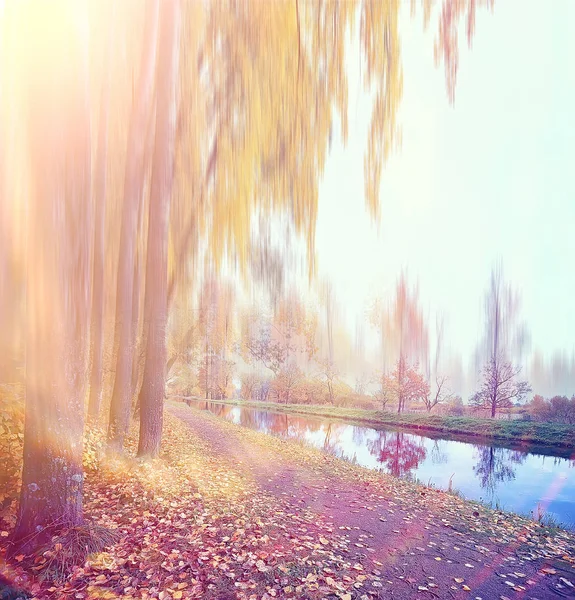 Őszi Háttér Oldalhosszúságú Négyzet Homályos Őszi Táj Parkban Homályos Bokeh — Stock Fotó