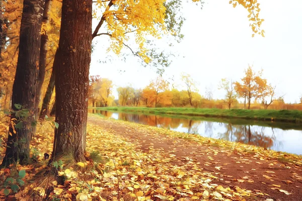 Ottobre Paesaggio Autunno Nel Parco Alberi Gialli Ottobre Vicolo Nel — Foto Stock