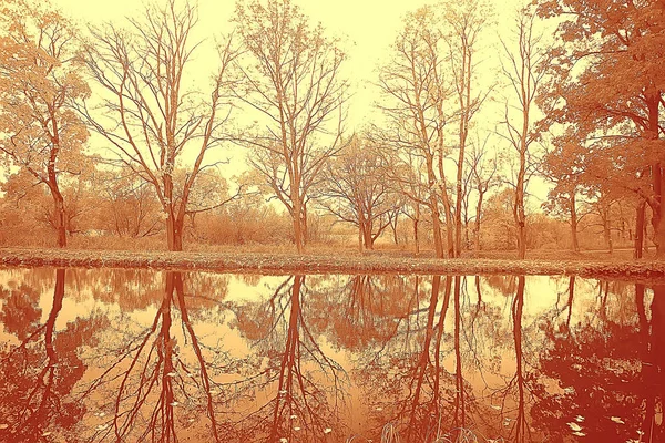 Сепия Пейзаж Осеннем Парке Монохромное Изображение Деревьев Аллеи Городском Парке — стоковое фото