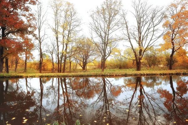 Étang Dans Parc Automne Paysage Bord Eau Dans Forêt Automne — Photo