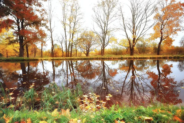 Amazing Autumn Landscape Yellow Trees Lake Park — Stock Photo, Image