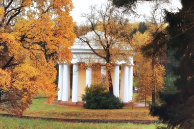 sonbahar manzara / sarı sonbahar Park, parlak turuncu orman ağaçları