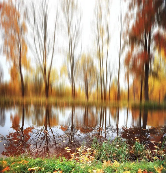 Autumnal Background Square Blurred Autumn Landscape Park Blurred Bokeh Background — Stock Photo, Image