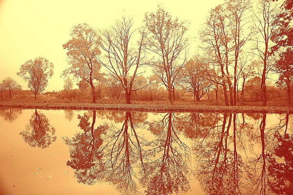 Incredibile Paesaggio Autunnale Con Alberi Gialli Lago Parco — Foto Stock