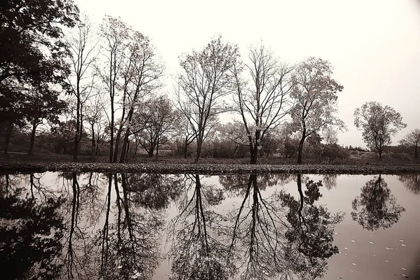 Paysage Automne Incroyable Avec Des Arbres Jaunes Lac Dans Parc — Photo