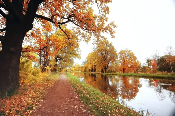 Geweldige Herfst Landschap Met Gele Bomen Lake Park — Stockfoto