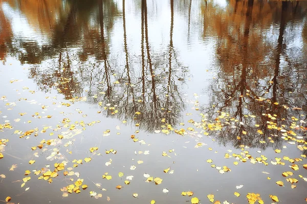 Paysage Automne Incroyable Avec Des Arbres Jaunes Lac Dans Parc — Photo