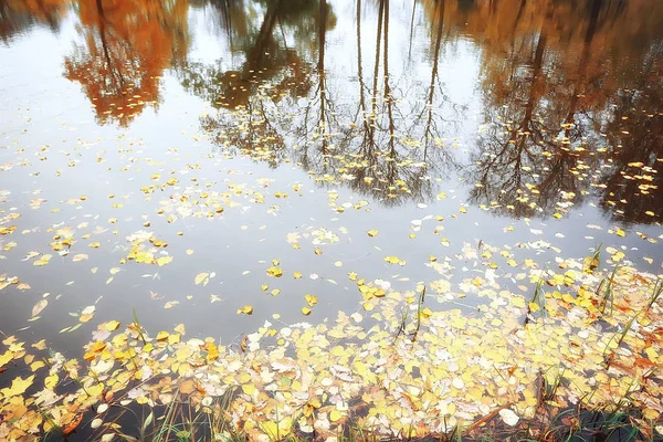 Geweldige Herfst Landschap Met Gele Bomen Lake Park — Stockfoto