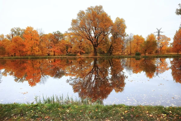 Удивительный Осенний Пейзаж Желтыми Деревьями Озером Парке — стоковое фото