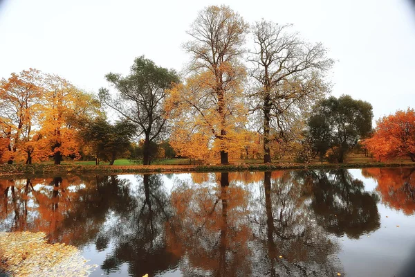 Increíble Paisaje Otoño Con Árboles Amarillos Lago Parque —  Fotos de Stock