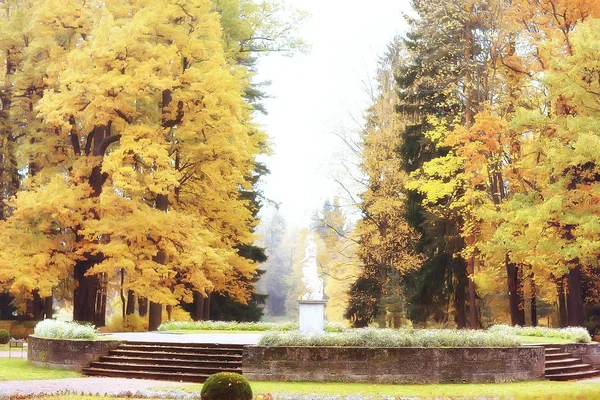 Amarillo Otoño Bosque Paisaje Hermosos Árboles Con Hojas Amarillas Bosque —  Fotos de Stock