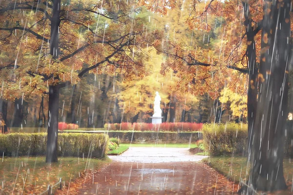 autumn park, rainy background / autumn landscape background rain texture in an October park, walk in bad weather, drops of water, windy weather, bad weather, sad mood