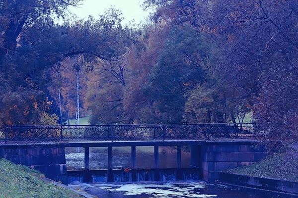 Sonbahar Manzara Sarı Sonbahar Park Parlak Turuncu Orman Ağaçları — Stok fotoğraf