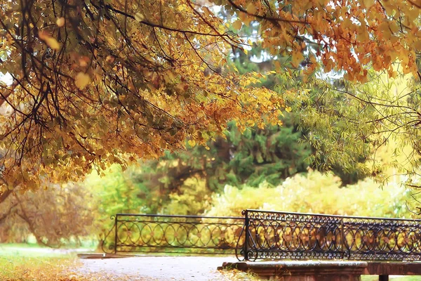 Höstlandskap Gult Träd Höst Park Ljusa Orange Skog — Stockfoto