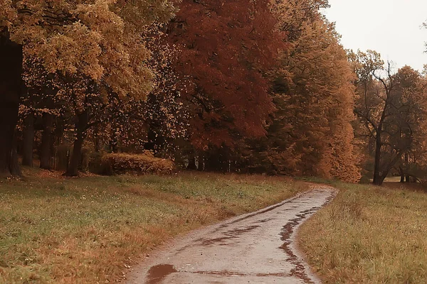 Oktober Landskap Hösten Parken Gult Oktober Träd Gränd Höst Landskapet — Stockfoto