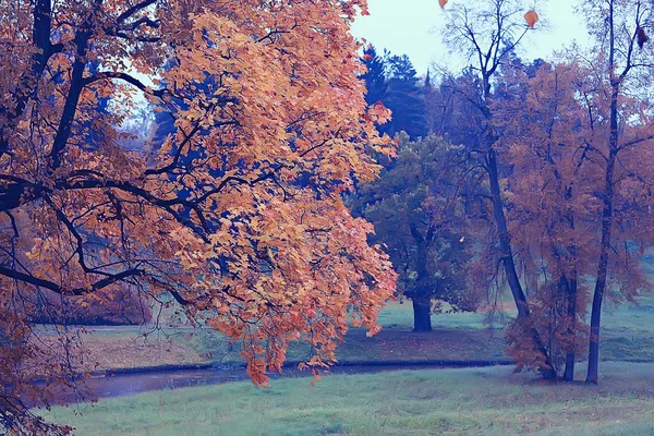 美しい秋の風景 秋の公園 明るいオレンジ フォレストで黄色の木 — ストック写真