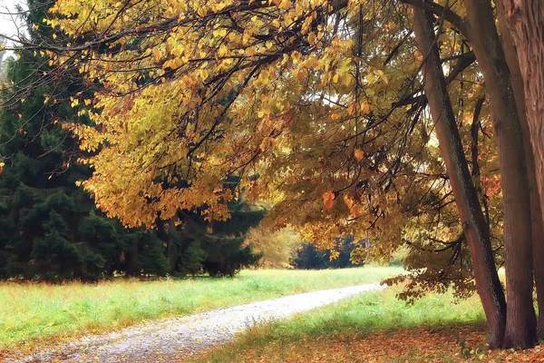 美しい秋の風景 秋の公園 明るいオレンジ フォレストで黄色の木 — ストック写真