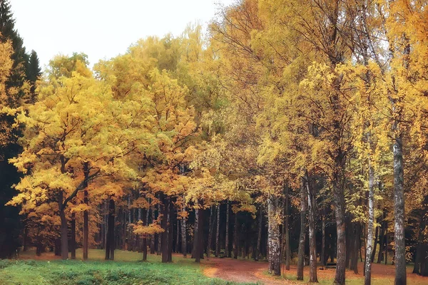Осень Германии Городской Парк Европе Осенний Пейзаж Германии — стоковое фото