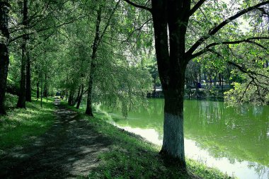 Summer Park Peyzajı, Yeşil Ağaçlar ve Yaz Şehri Parkı 'ndaki Yürüyüş
