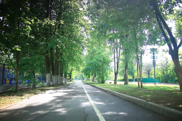 サマーシティパークの夏の公園風景 緑の木と歩道 — ストック写真