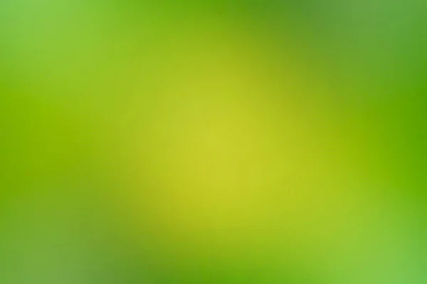 abstract blurry green gradient background