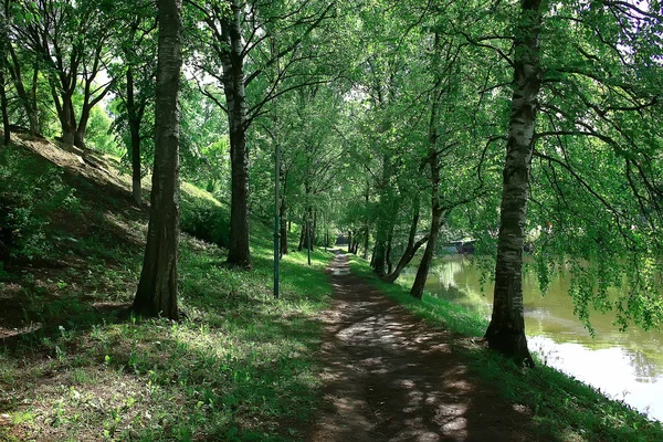 Sommaren Parkera Landskap Gröna Träd Och Gångväg Sommar Stadsparken — Stockfoto