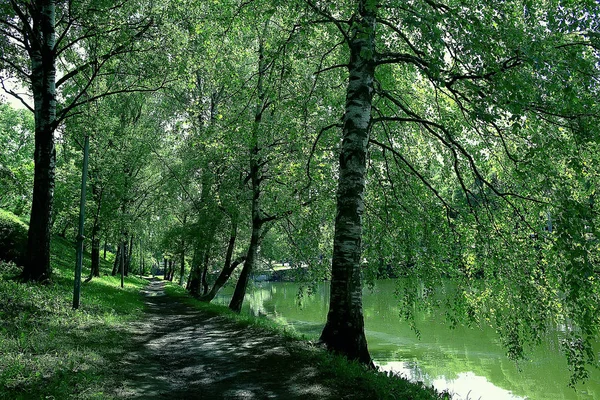 Summer Park Landscape Green Trees Walkway Summer City Park — Stock Photo, Image