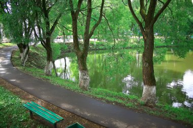 Summer Park Peyzajı, Yeşil Ağaçlar ve Yaz Şehri Parkı 'ndaki Yürüyüş