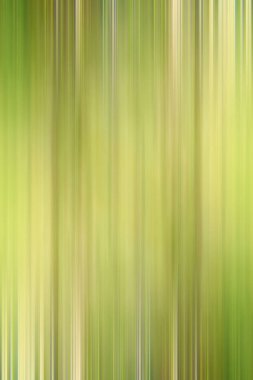 bulanık yeşil degrade arka plan 