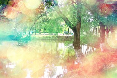 güzel sonbahar orman manzara. Park Orman, ağaç ve yaprak Ekim manzara sarı