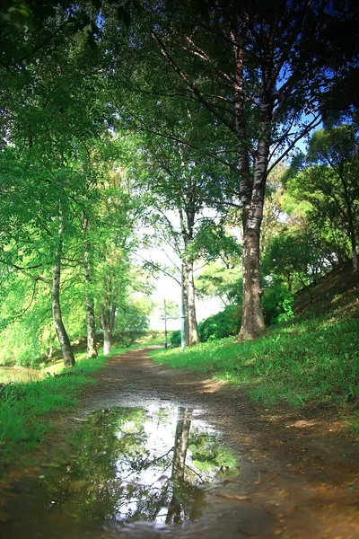 Paisaje Del Parque Verano Árboles Verdes Pasarela Parque Ciudad Verano —  Fotos de Stock