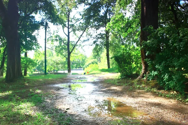 Parco Estivo Paesaggio Alberi Verdi Passerella Nel Parco Della Città — Foto Stock