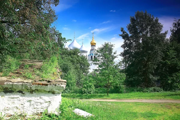 Summer Park Landscape Green Trees Walkway Summer City Park — Stock Photo, Image