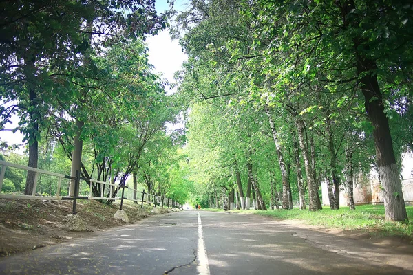 Summer Park Peyzajı Yeşil Ağaçlar Yaz Şehri Parkı Ndaki Yürüyüş — Stok fotoğraf