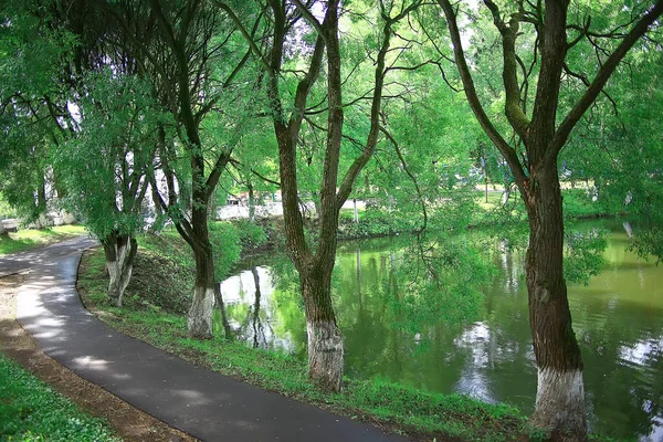 Sommaren Parkera Landskap Gröna Träd Och Gångväg Sommar Stadsparken — Stockfoto