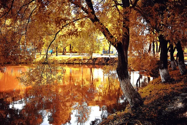 美しい秋の森の風景です 公園で黄色の森と木と葉 月風景 — ストック写真