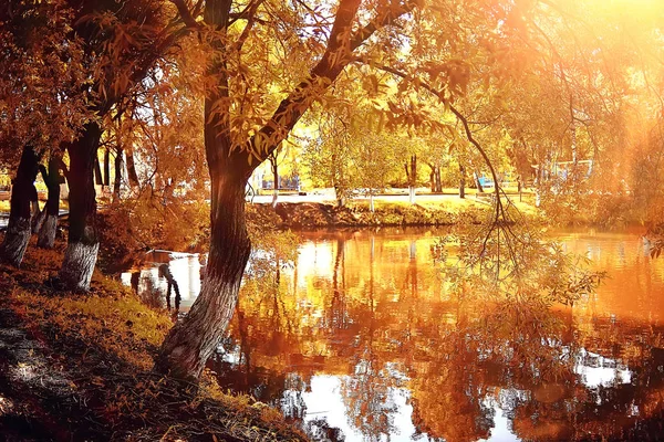 Schöne Herbstliche Waldlandschaft Gelber Wald Bäume Und Blätter Oktober Landschaft — Stockfoto